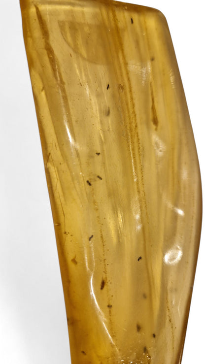 Amber with insect inclusions 42