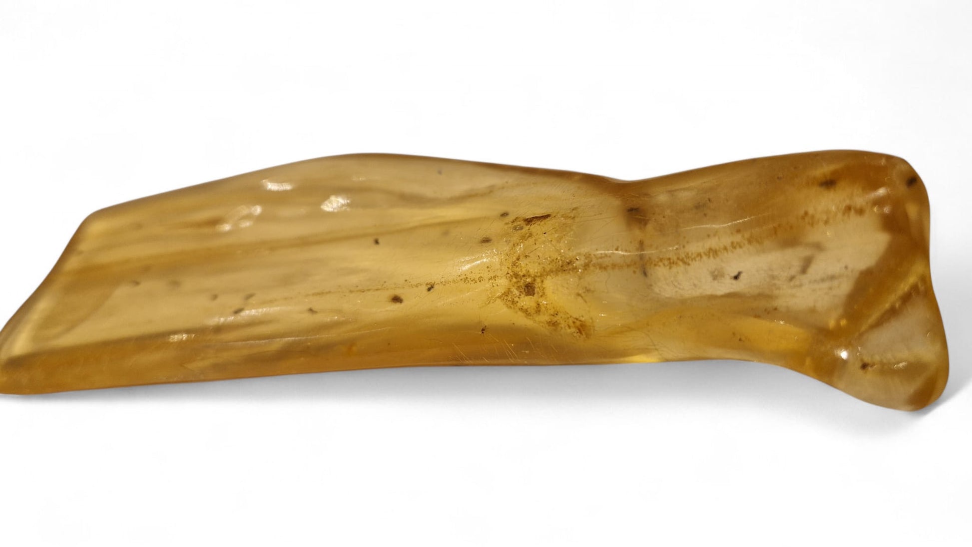 Amber with insect inclusions 44