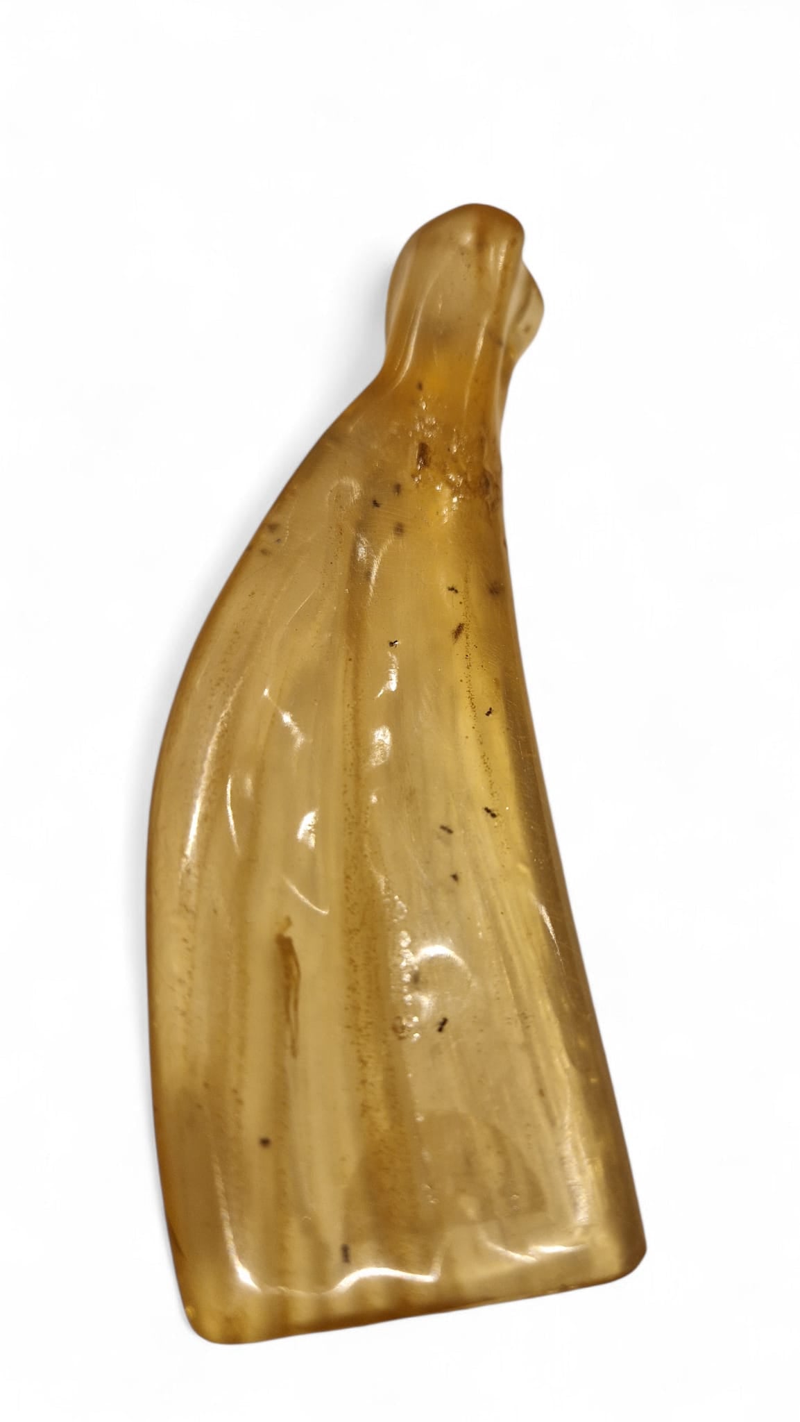Amber with insect inclusions 45