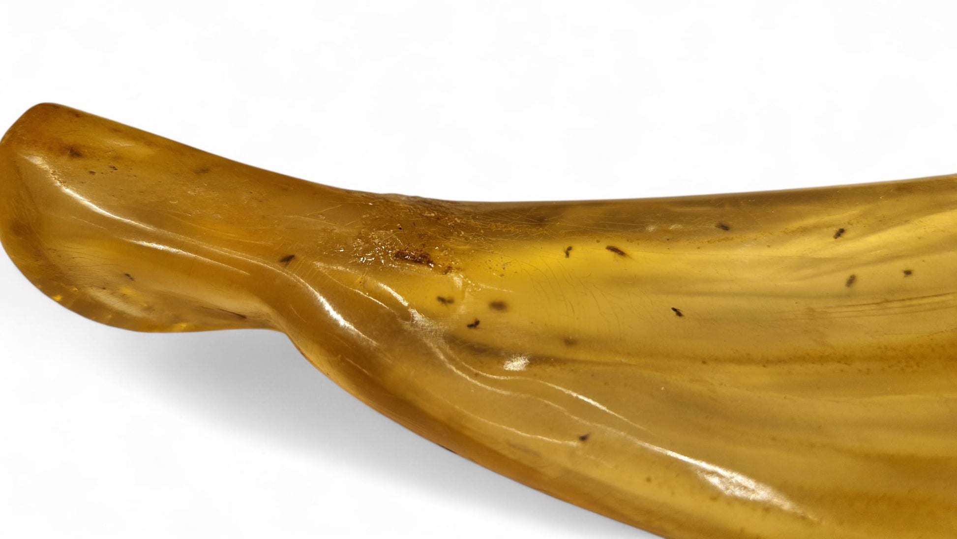 Amber with insect inclusions 46