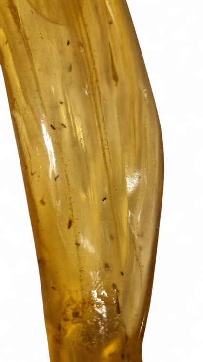 Amber with insect inclusions 47