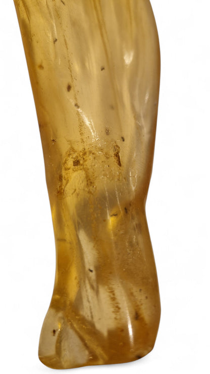 Amber with insect inclusions 48