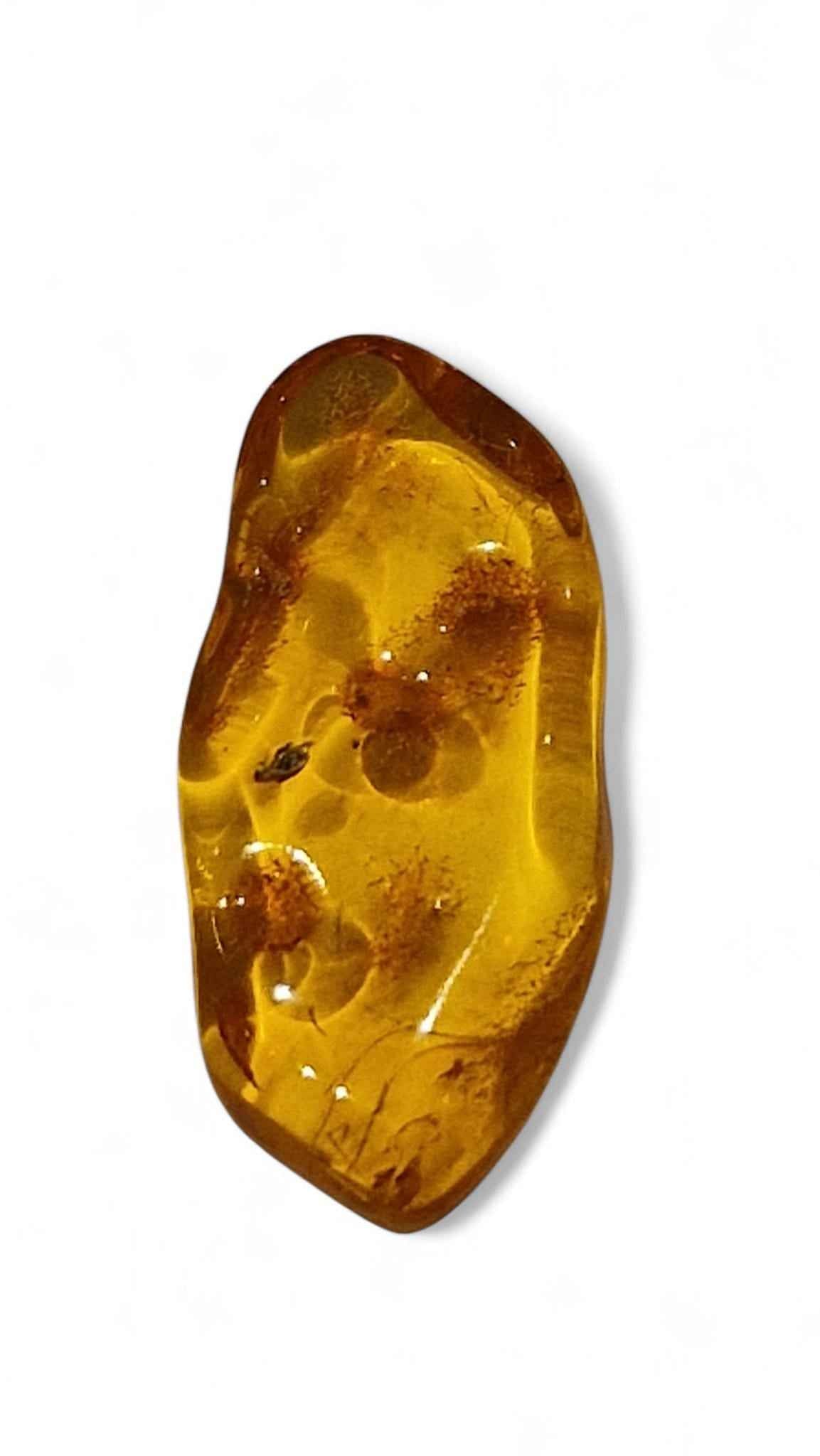 Amber with Multiple Insect Inclusions – 4.2 cm Eocene Fossil | Ukraine