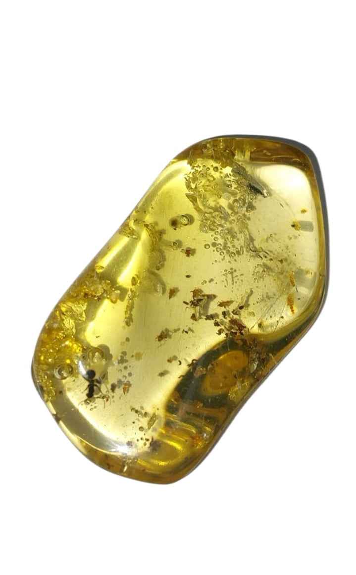 Amber with Multiple Inclusions – 5.5 cm Eocene Fossil | Colombia
