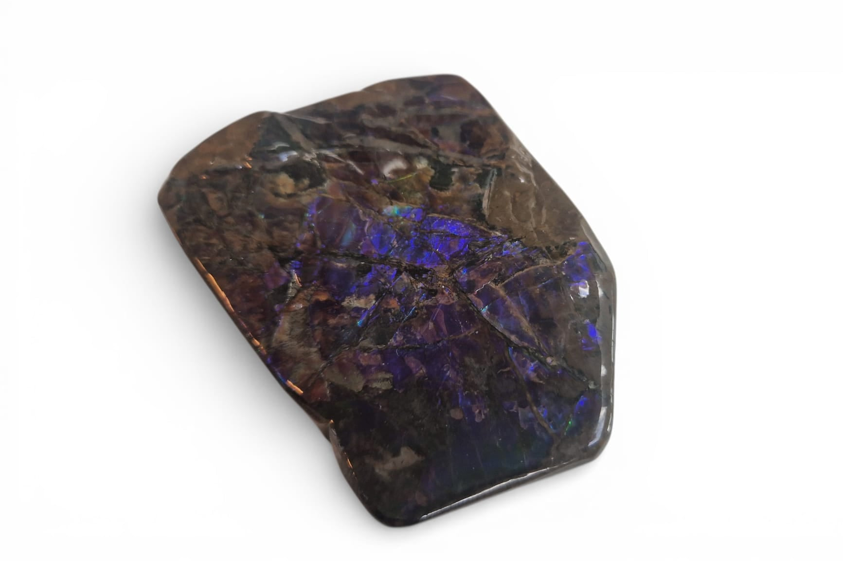 Blue ammolite gemstone Canada 2