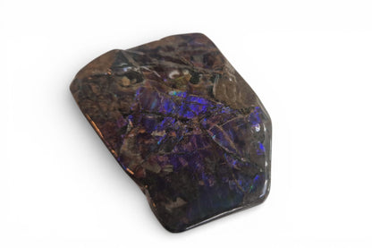 Blue ammolite gemstone Canada 2