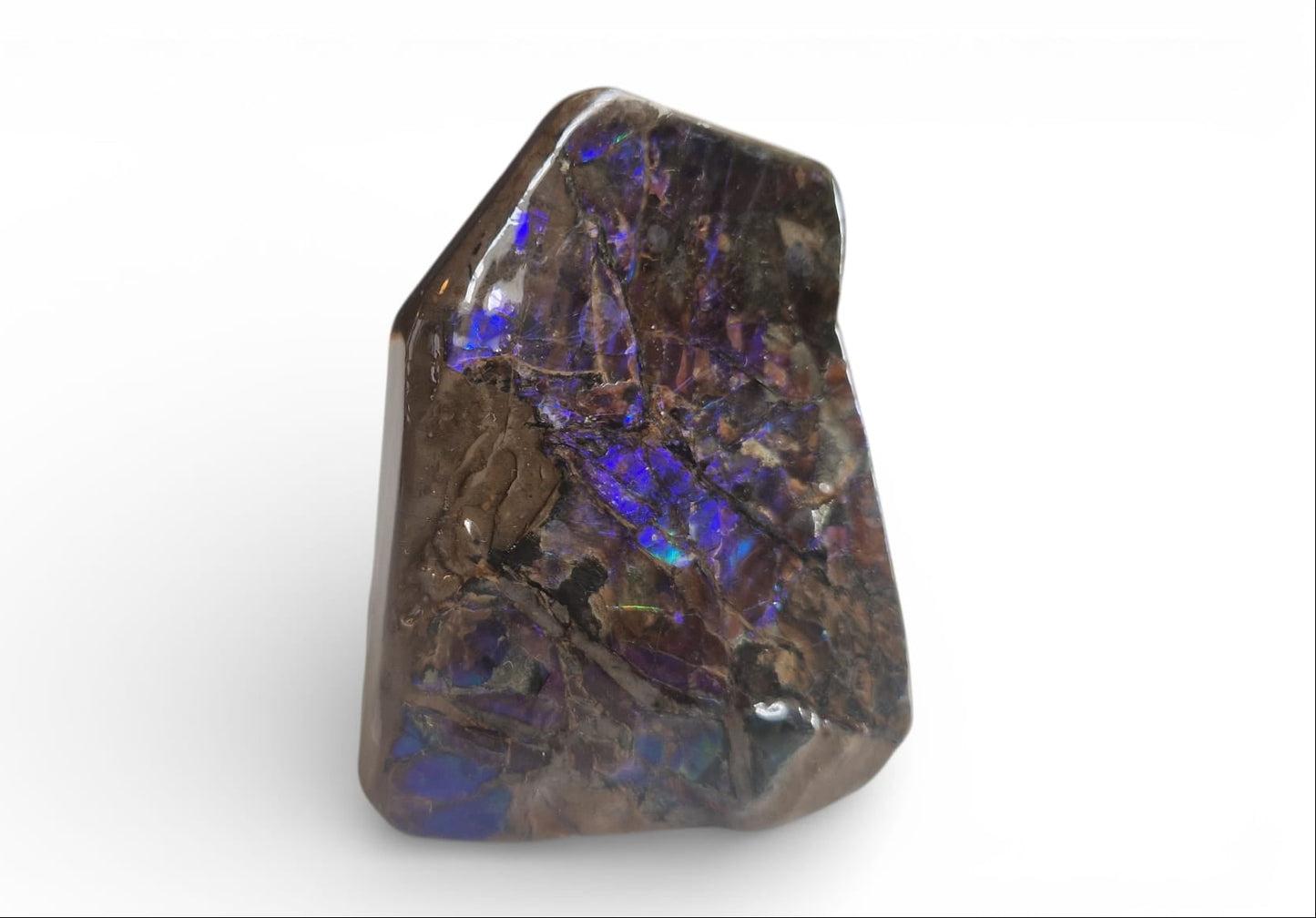 Blue ammolite gemstone Canada 3