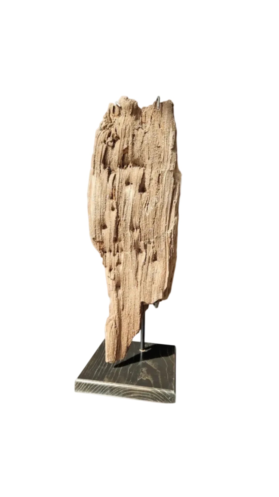 Fossilized Wood 101cm – Petrified Wood on Metal Stand | Germany
