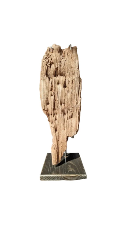 Fossilized Wood 101cm – Petrified Wood on Metal Stand | Germany 2