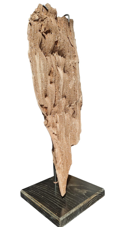 Fossilized Wood 101cm – Petrified Wood on Metal Stand | Germany 3