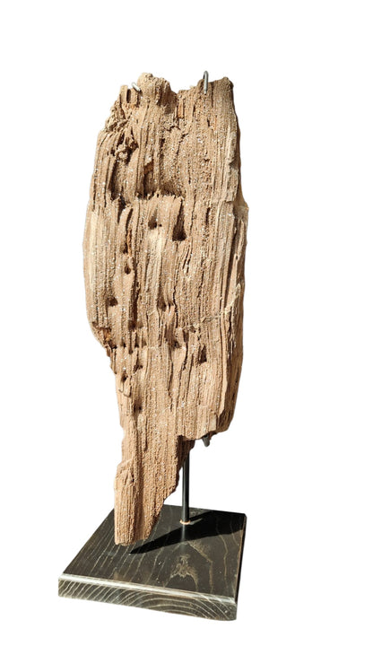 Fossilized Wood 101cm – Petrified Wood on Metal Stand | Germany 6