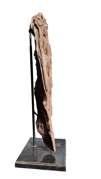 Fossilized Wood 101cm – Petrified Wood on Metal Stand | Germany 7