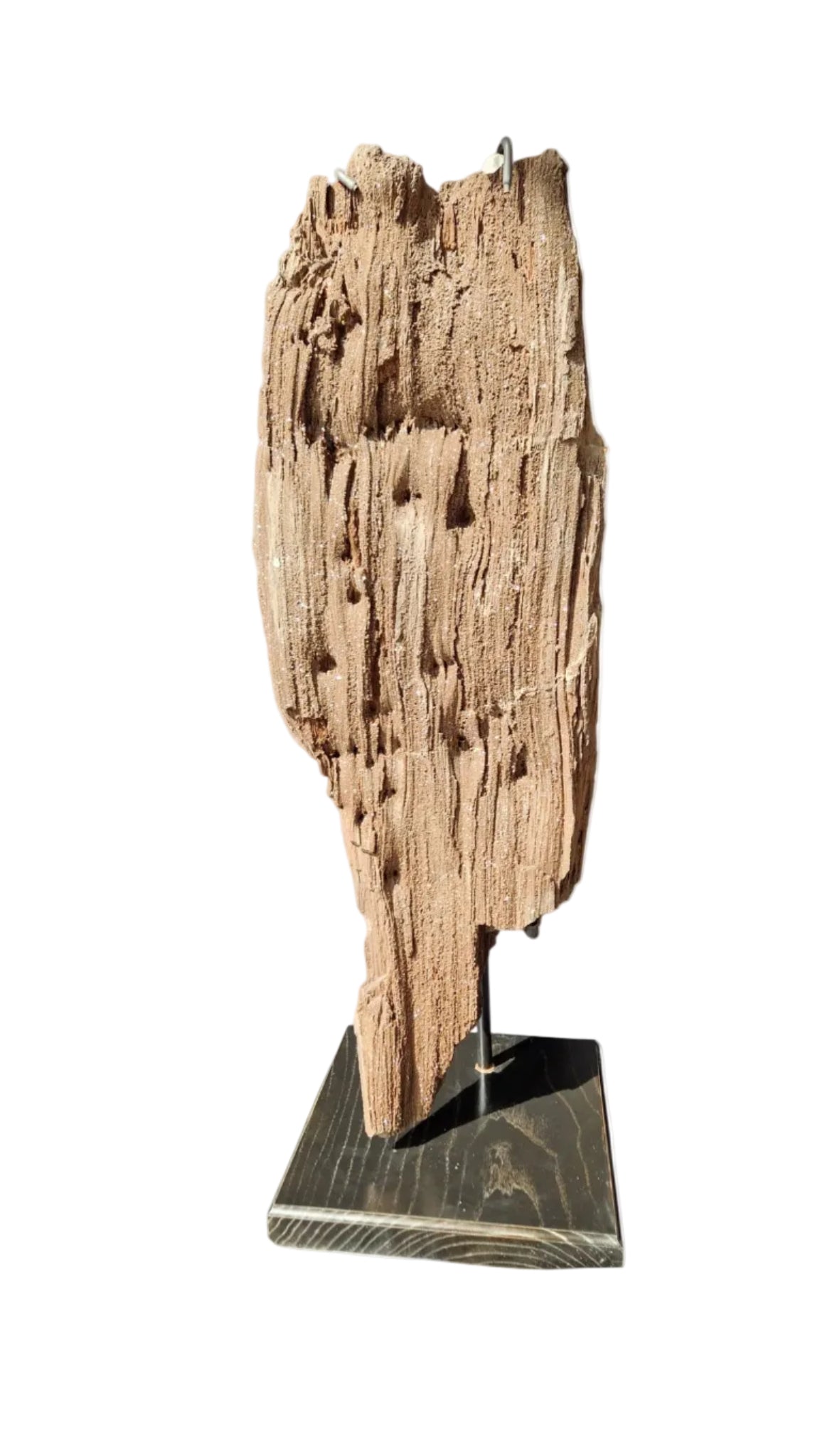 Fossilized Wood 101cm – Petrified Wood on Metal Stand | Germany 8