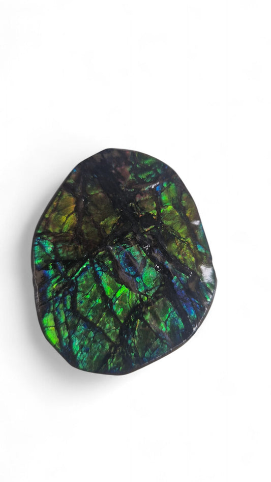 Green ammolite gemstone Canada 1