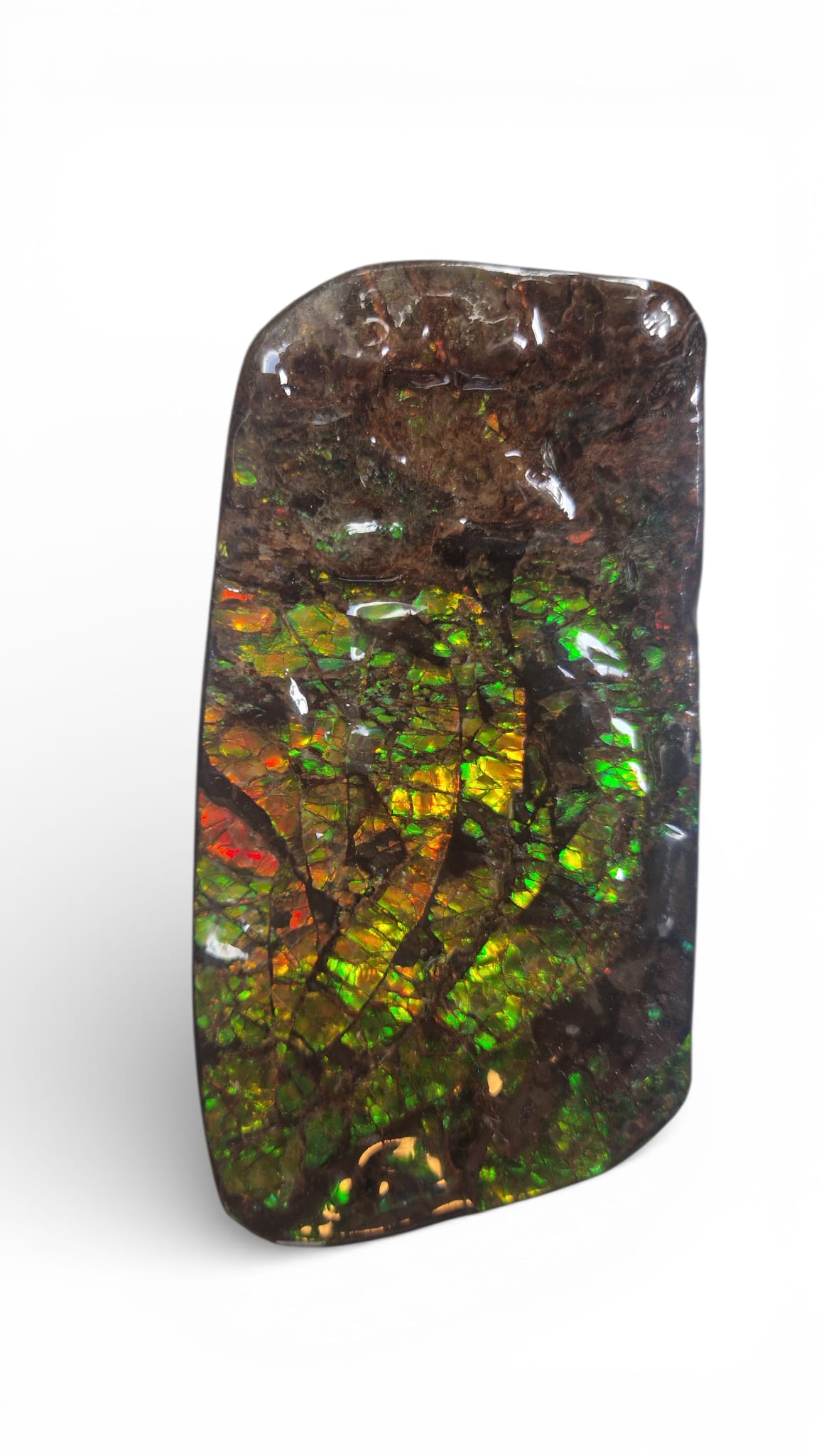 Green ammolite gemstone Canada 12