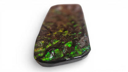 Green ammolite gemstone Canada 14