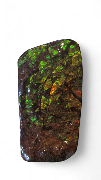 Green ammolite gemstone Canada 15
