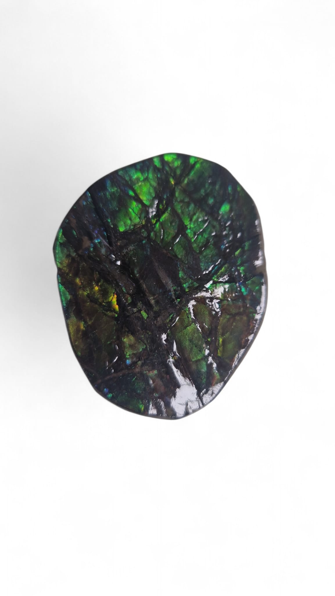 Green ammolite gemstone Canada 2