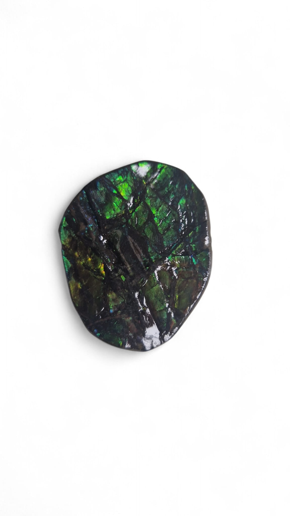 Green ammolite gemstone Canada 3