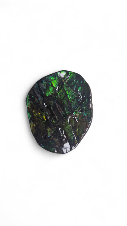 Green ammolite gemstone Canada 3
