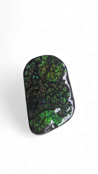 Ammolite Gemstone – 4.6 cm Iridescent Natural Fossil | Canada