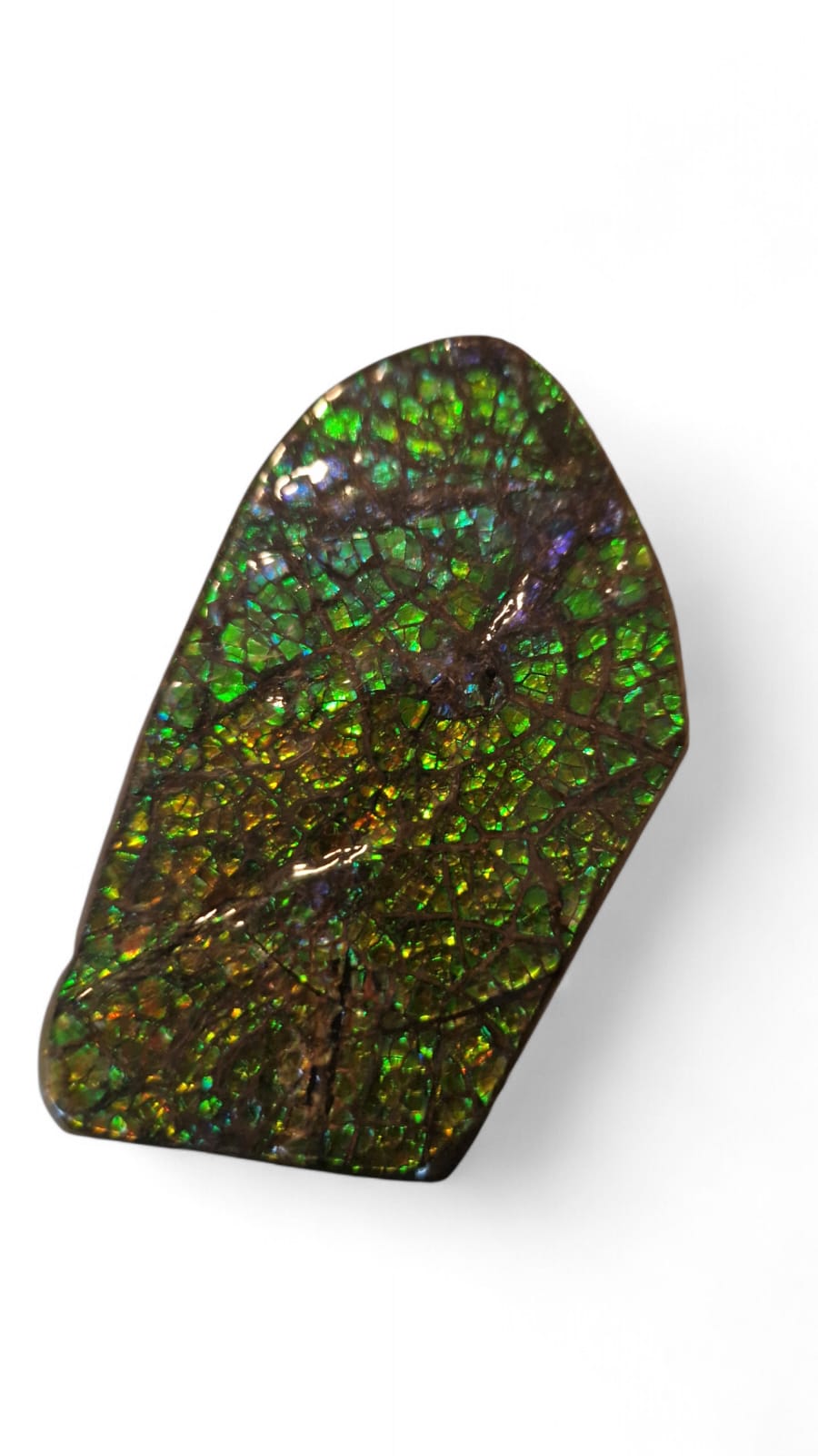 Green ammolite gemstone Canada 7