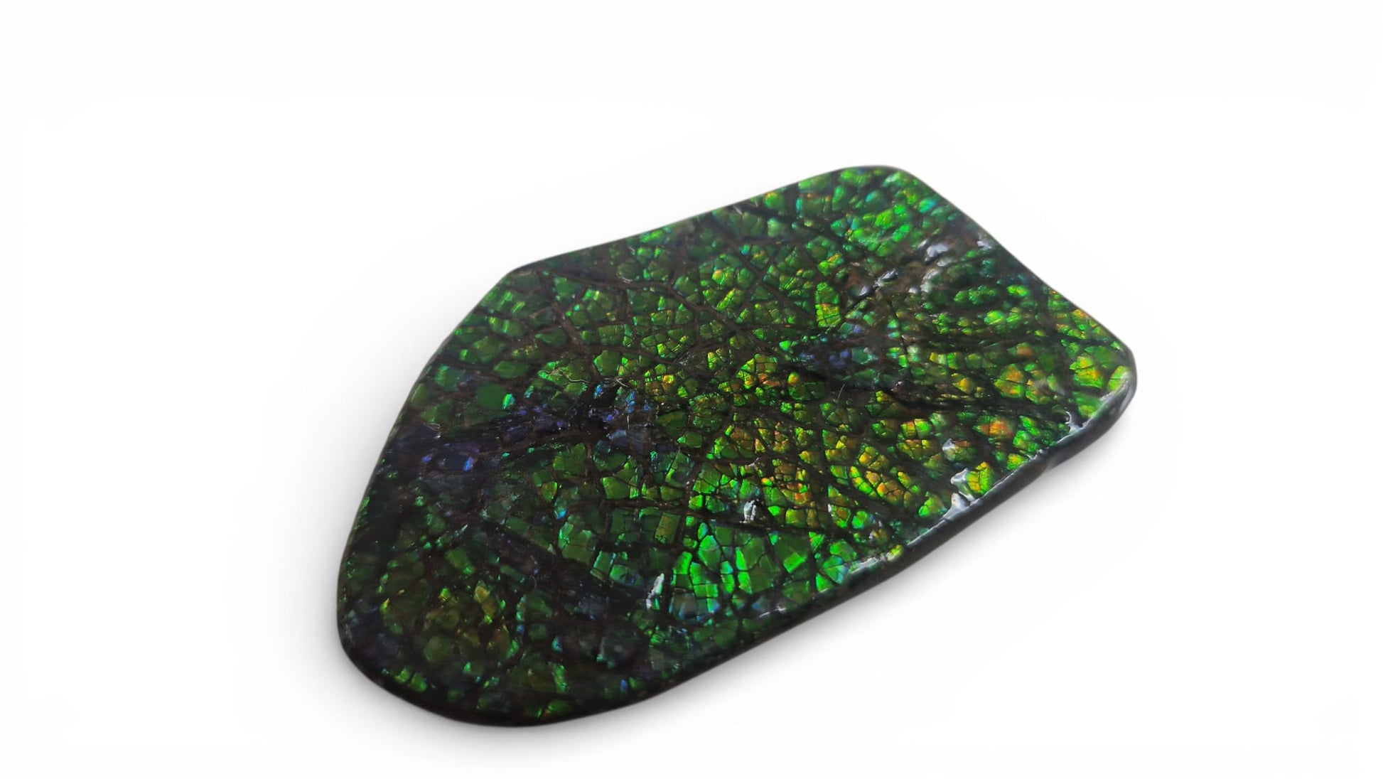Green ammolite gemstone Canada 8