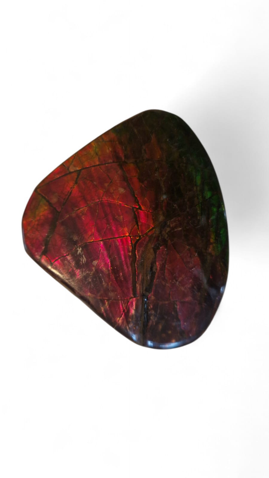 Red ammolite gemstone Canada 10