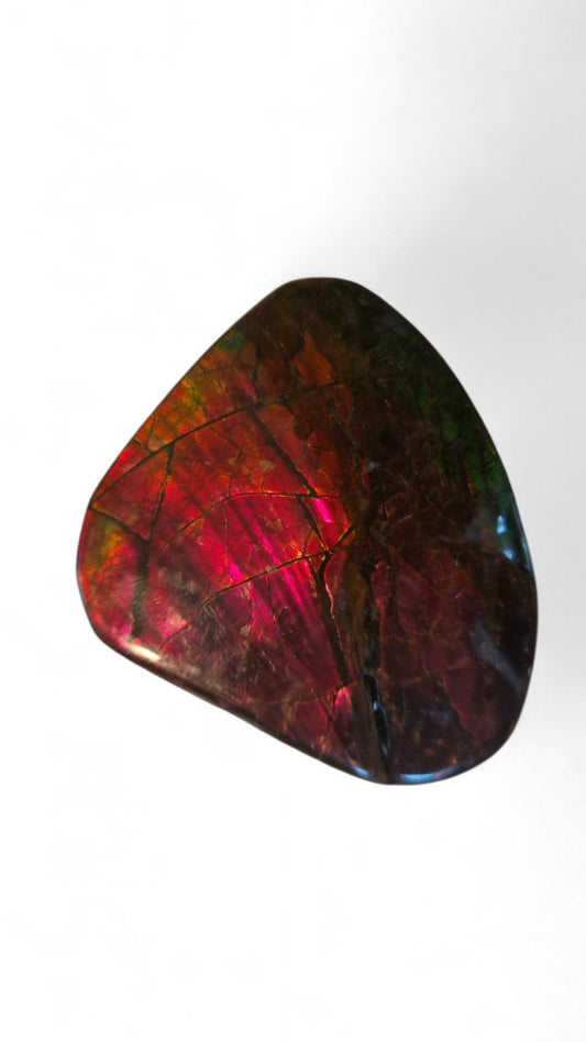 Red ammolite gemstone Canada 9