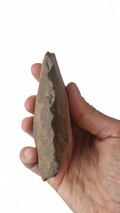 Acheulean Hand Axe 12cm - Homo erectus Tool from Sahara Desert