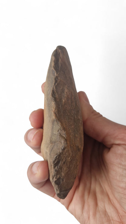 Acheulean Hand Axe 12cm - Homo erectus Tool from Sahara Desert