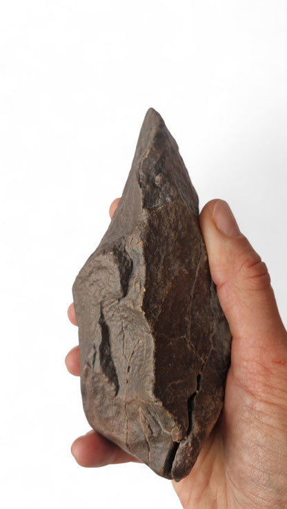 Acheulean Hand Axe 17cm - Homo erectus Tool from Sahara Desert